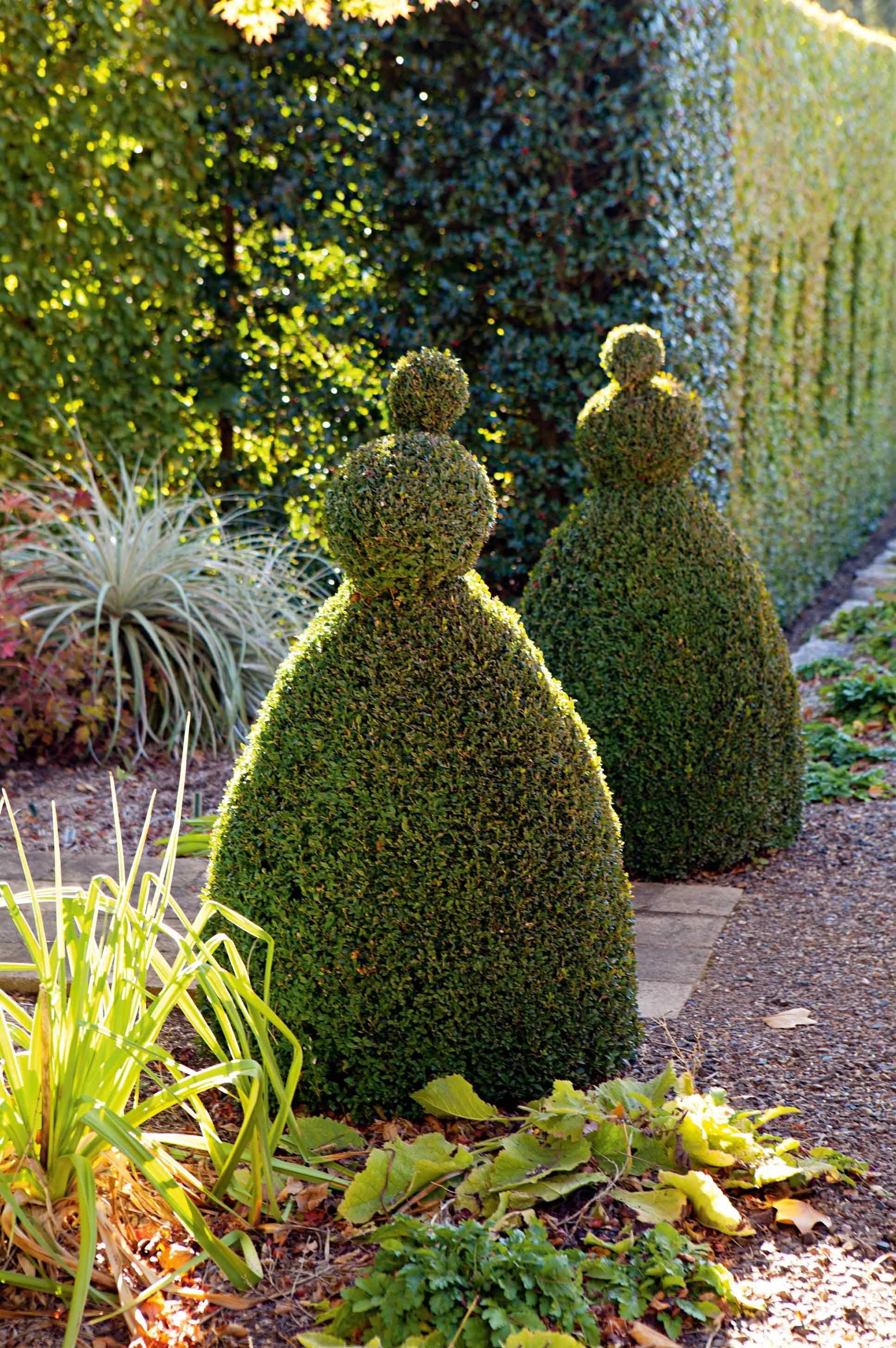 Amazing Topiary Gardens