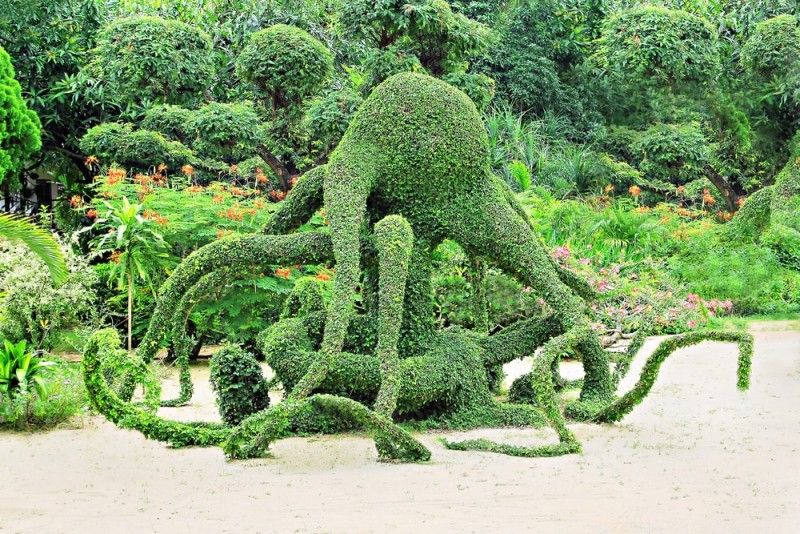 Topiary Forms