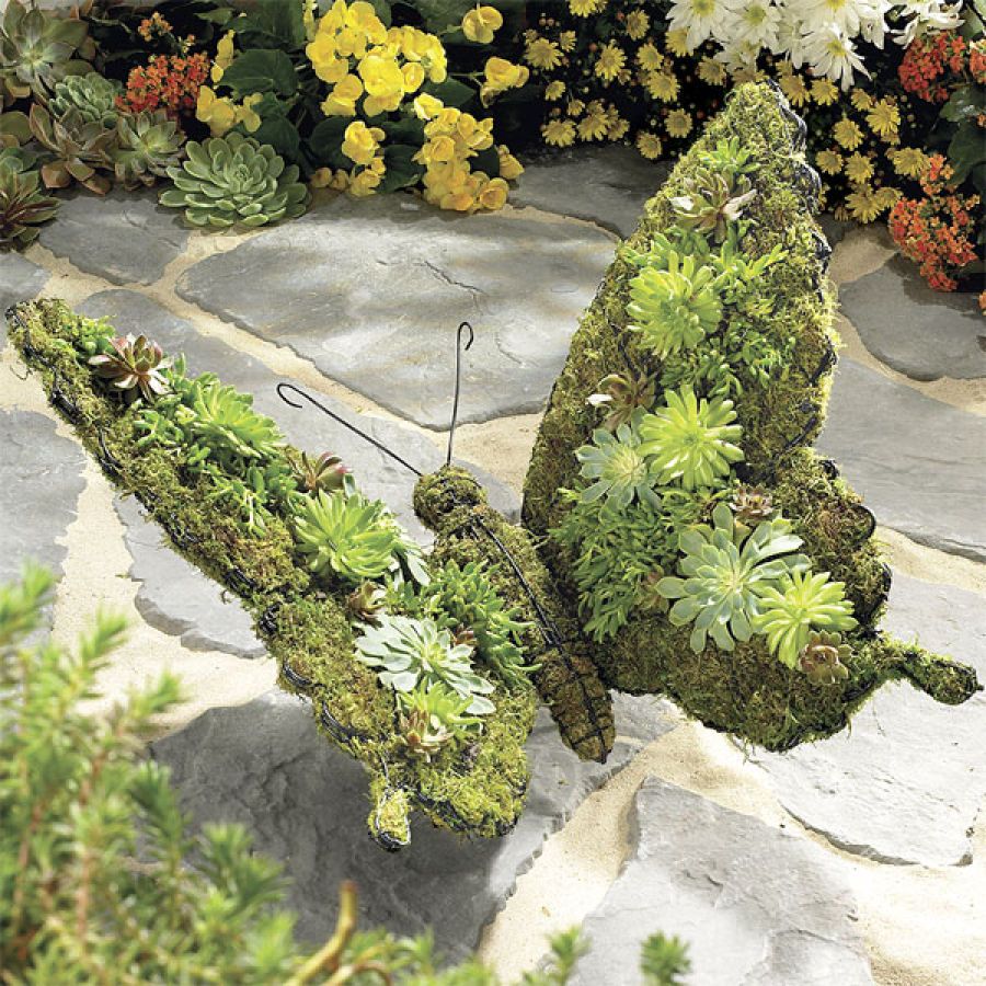 Topiaries Shape And Topiary Garden