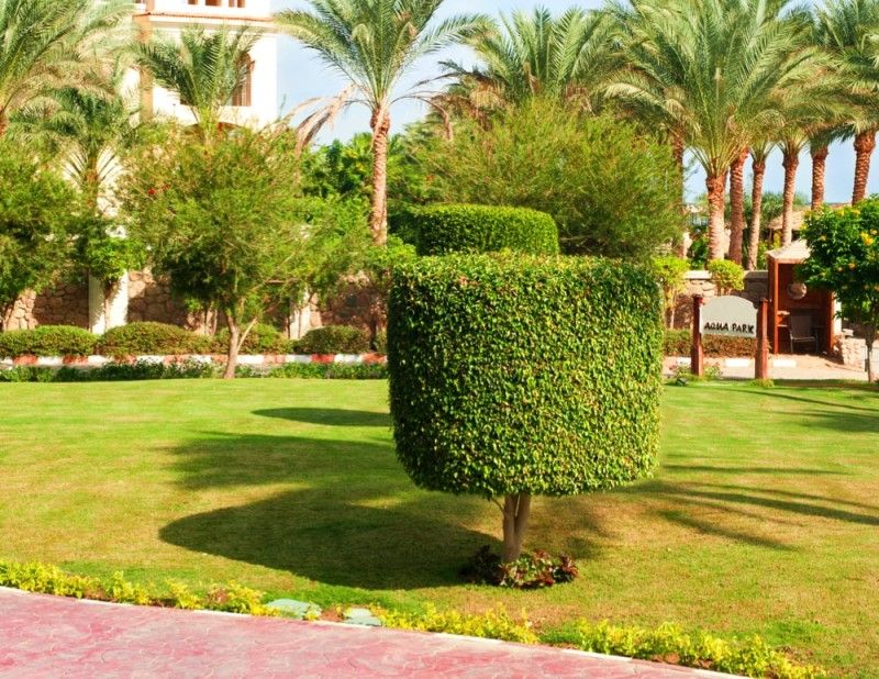 Topiary Garden Forms Traditional Garden Statues