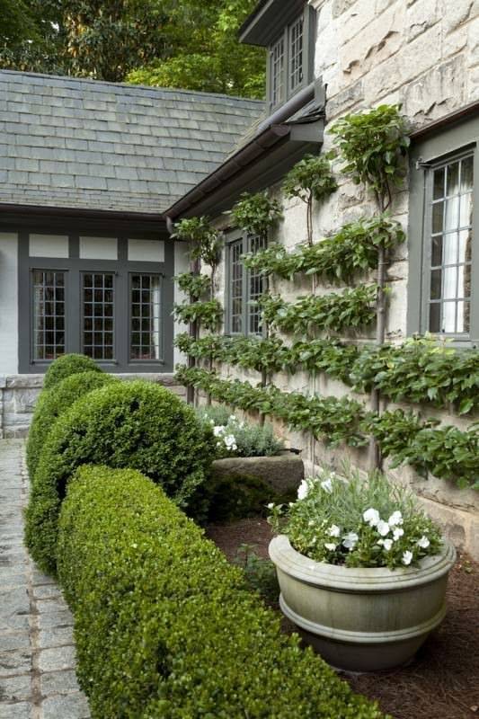 Formal Garden Designs