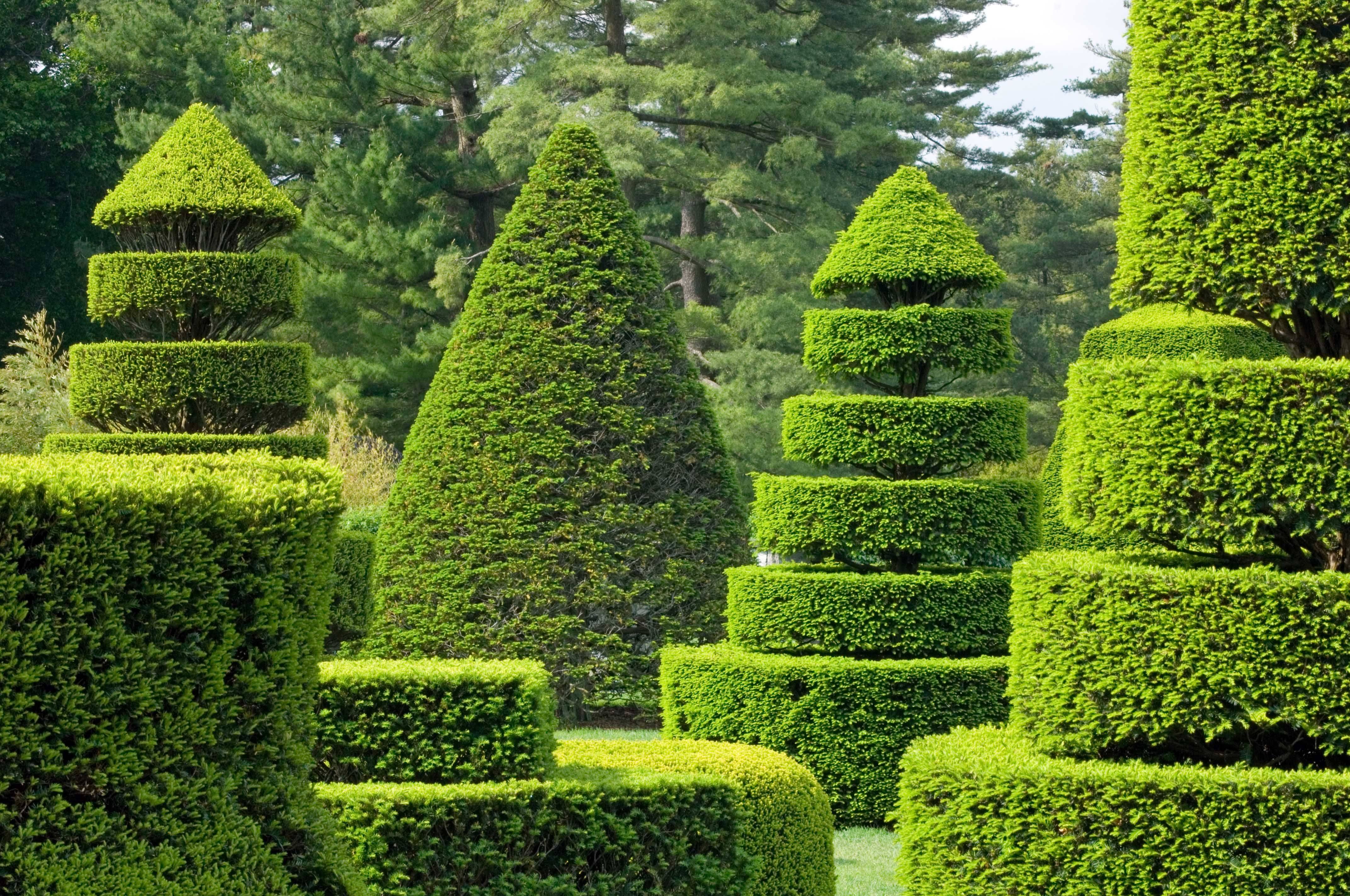Marvellous Topiary Ideas