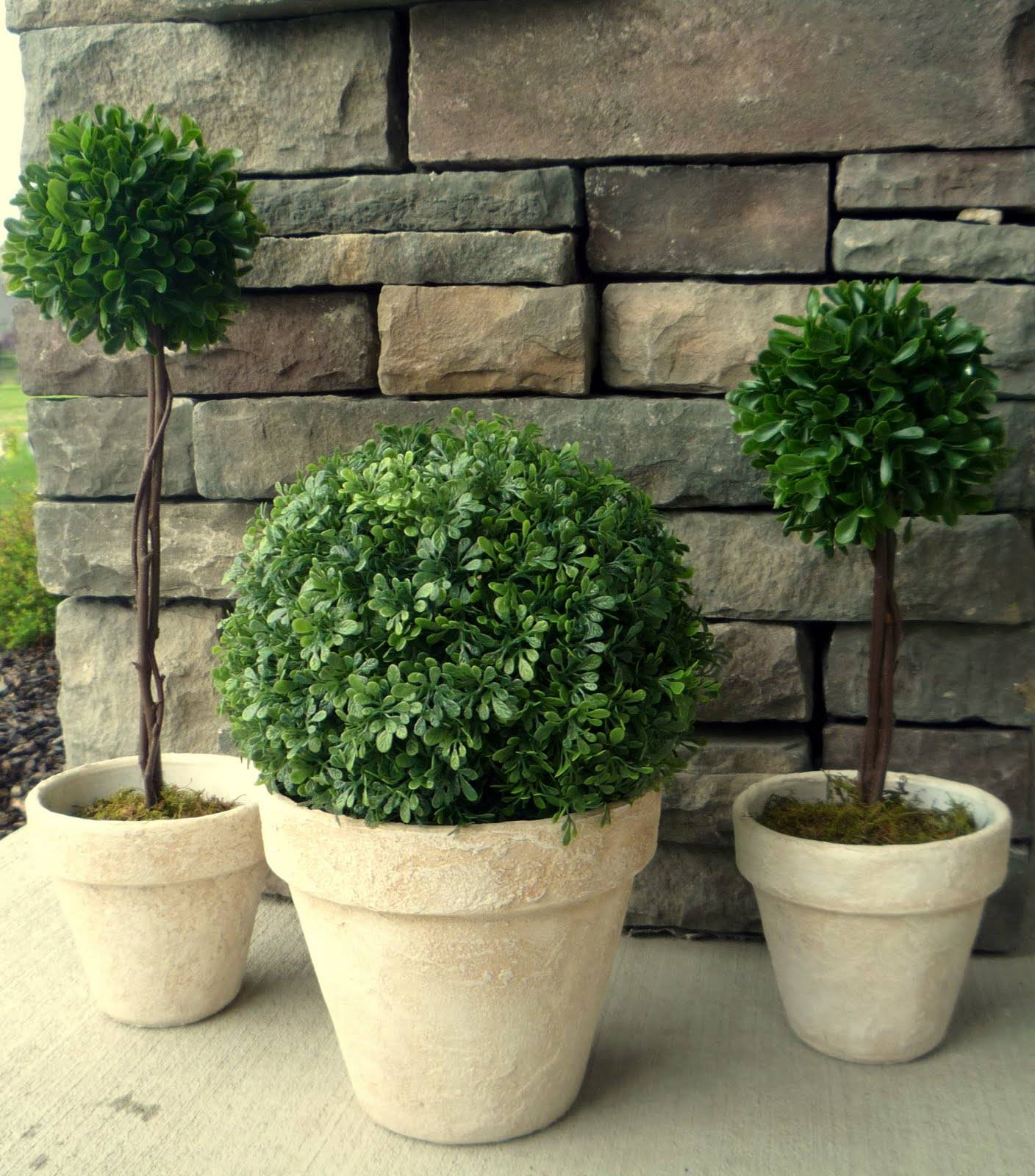 Topiary Porch Topiary
