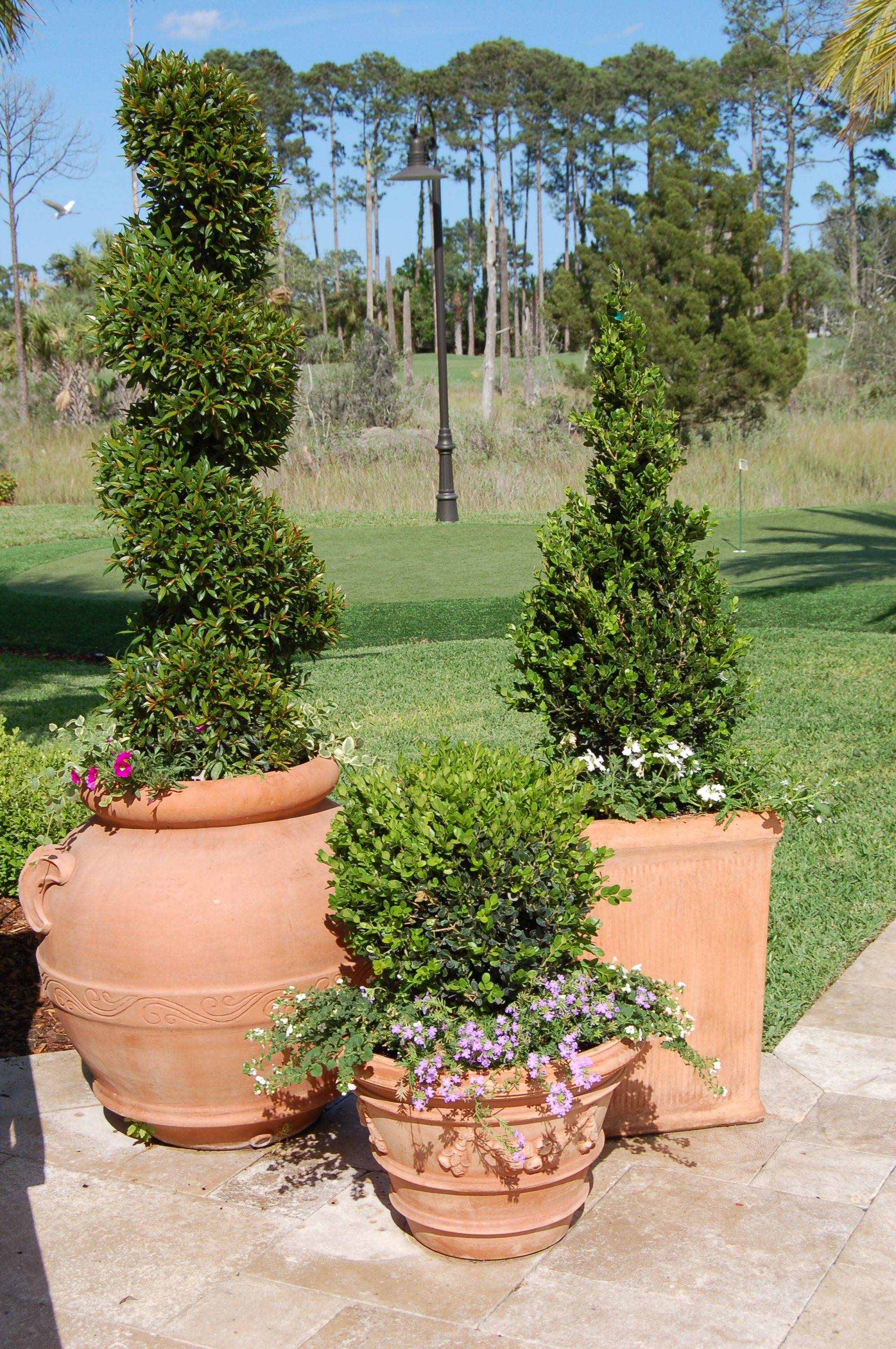Garden Containers