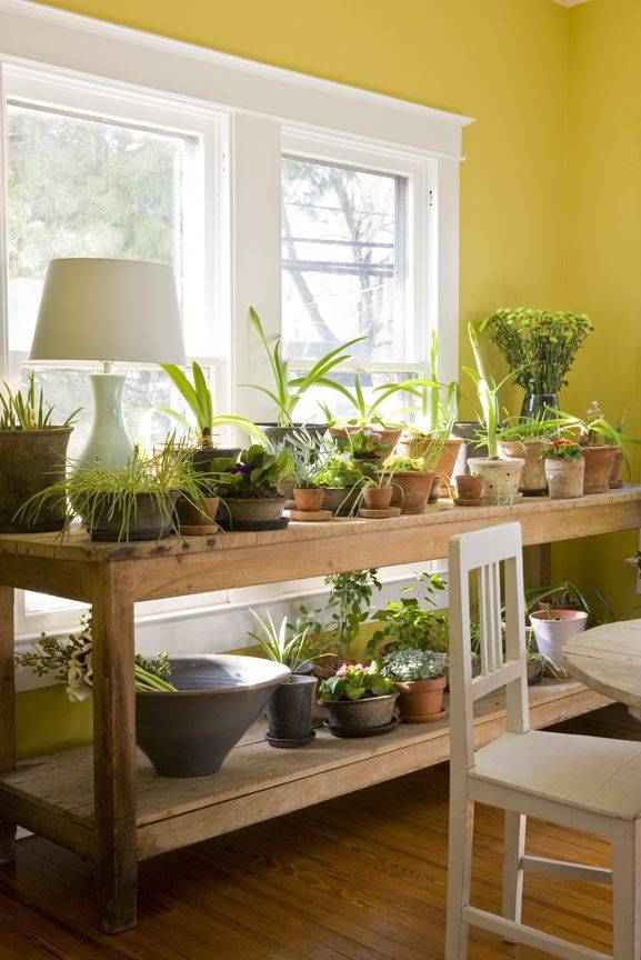 Home Office Ideas