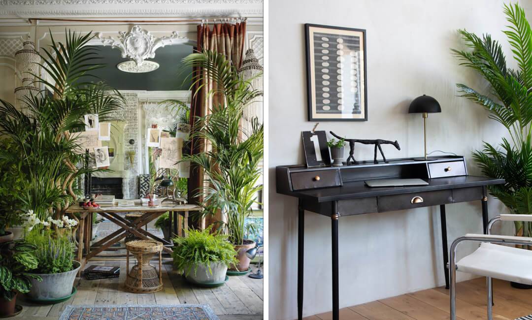 Nature Lover Home Office Desk