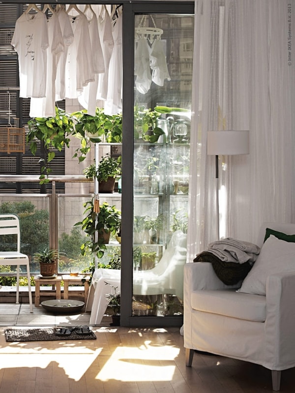 Your Very Own Indoor Garden