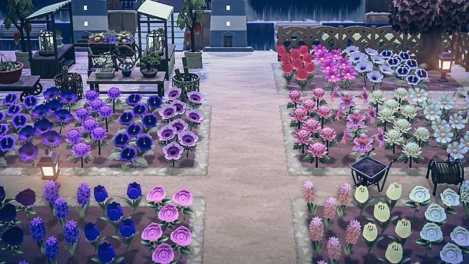 Animalcrossing Animal Crossing