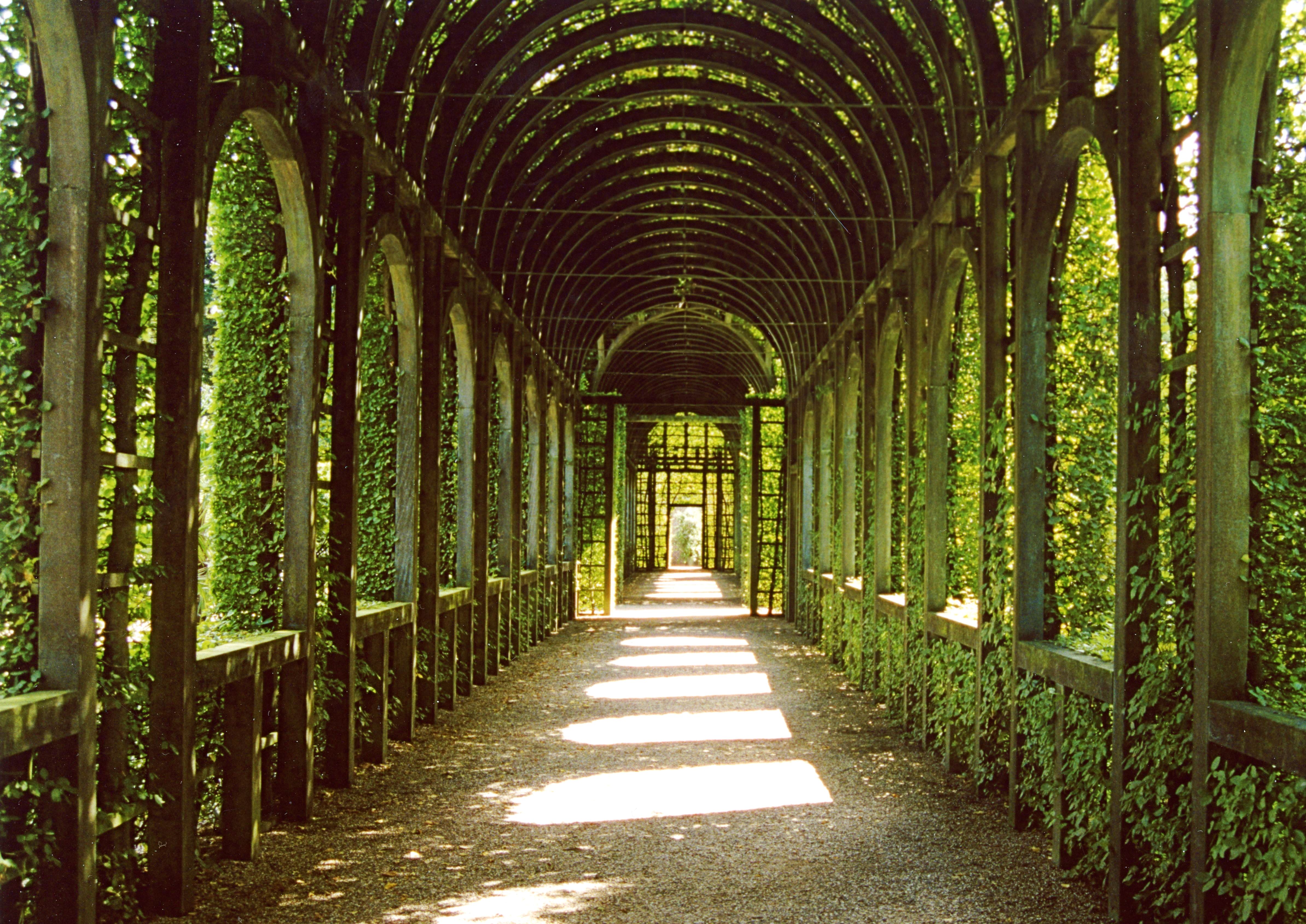 Above Beautiful Gardens