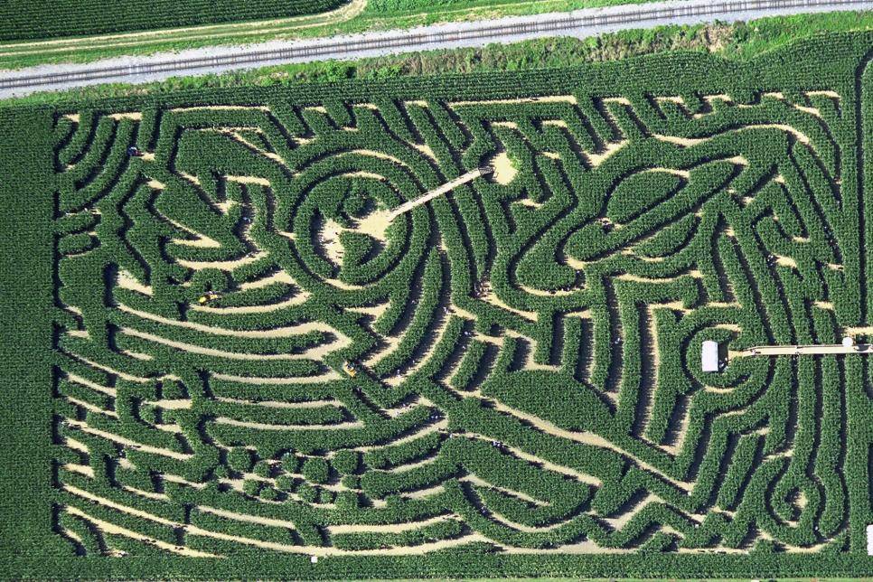 Mindboggling Hedge Maze Garden Labyrinth Designs