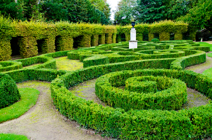 Amazing Maze Garden