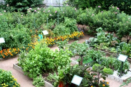 Landscaping Ideas