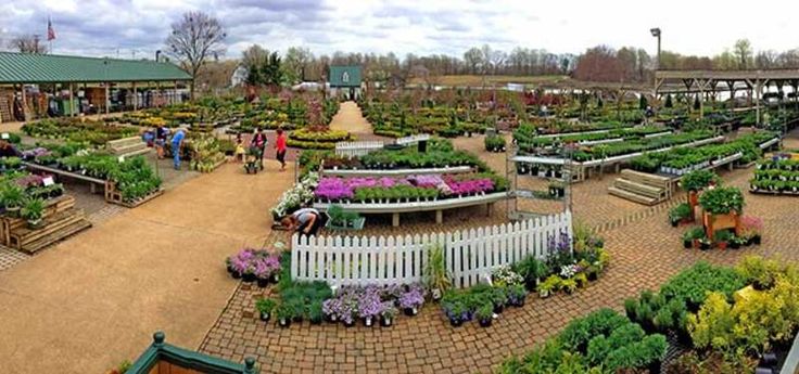 Super Wedding Venues