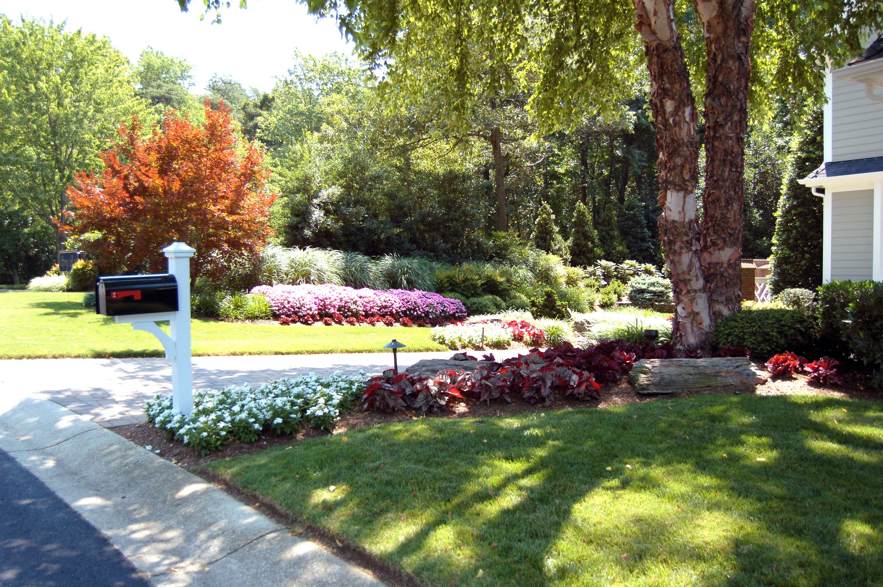 This Annapolis Garden