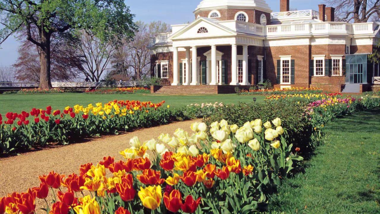 The Revolutionary Garden Ideas