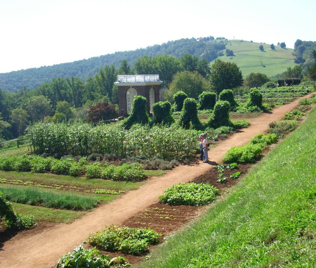 Garden Vegetable Garden