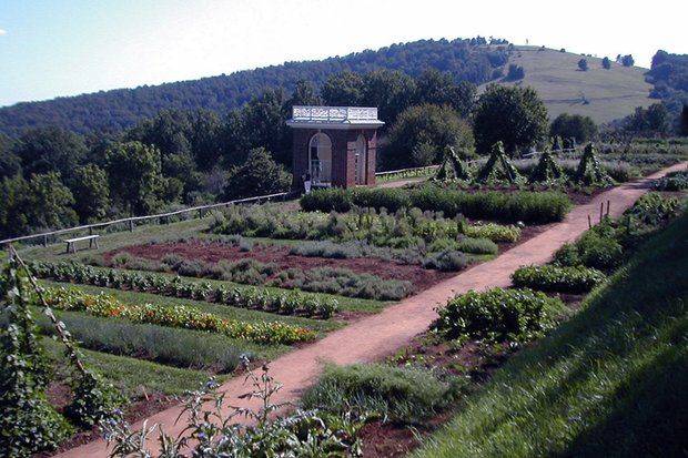 Thomas Jeffersons Monticello Horticulture