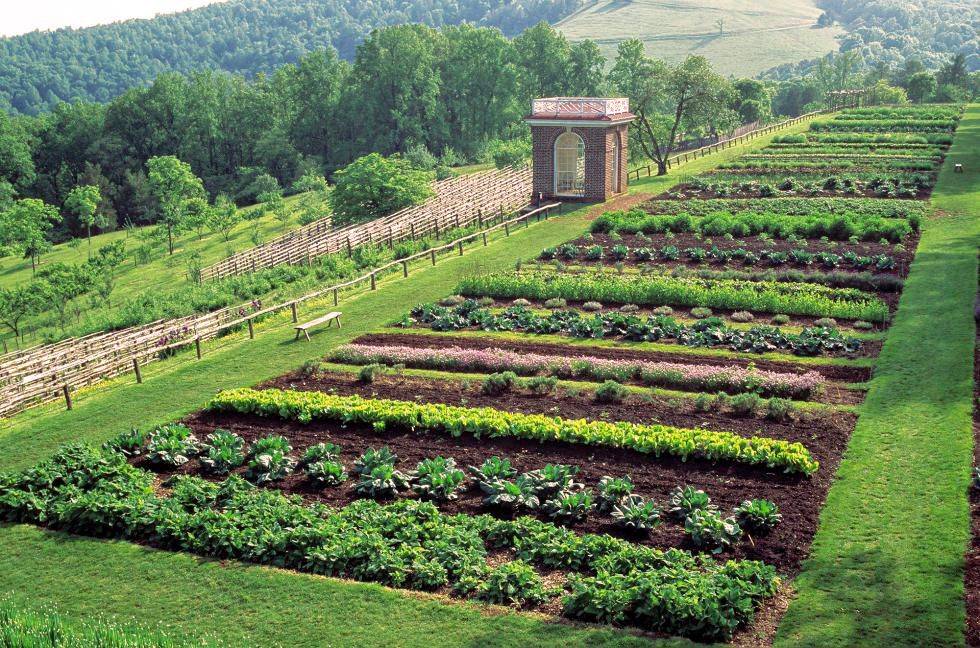 Thomas Jeffersons Monticello