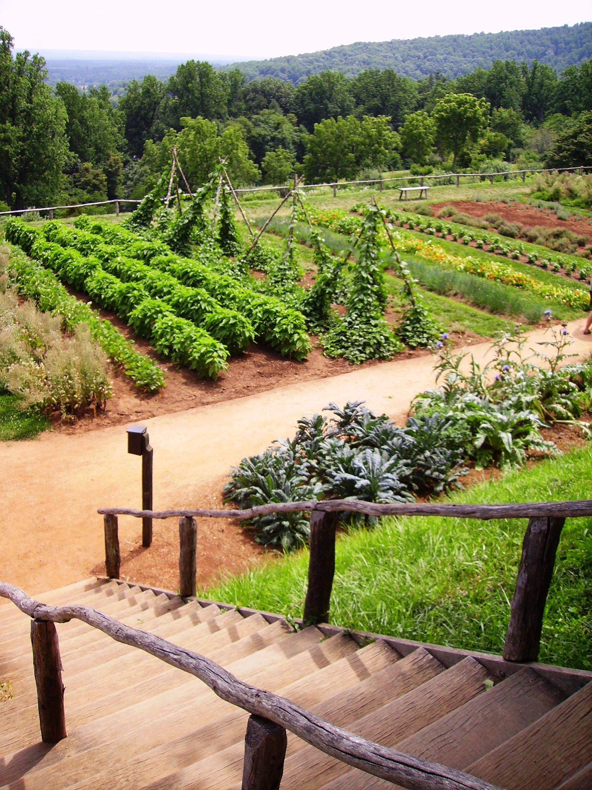 Monticello Virginia