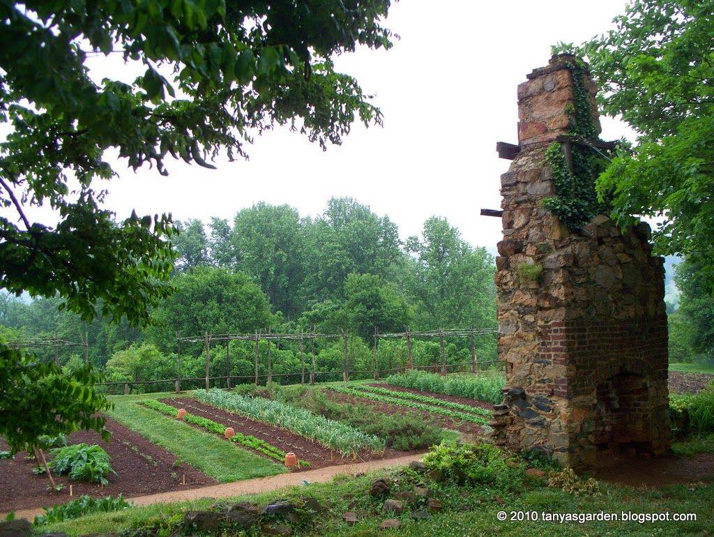 Monticello Urban Farming Gardening