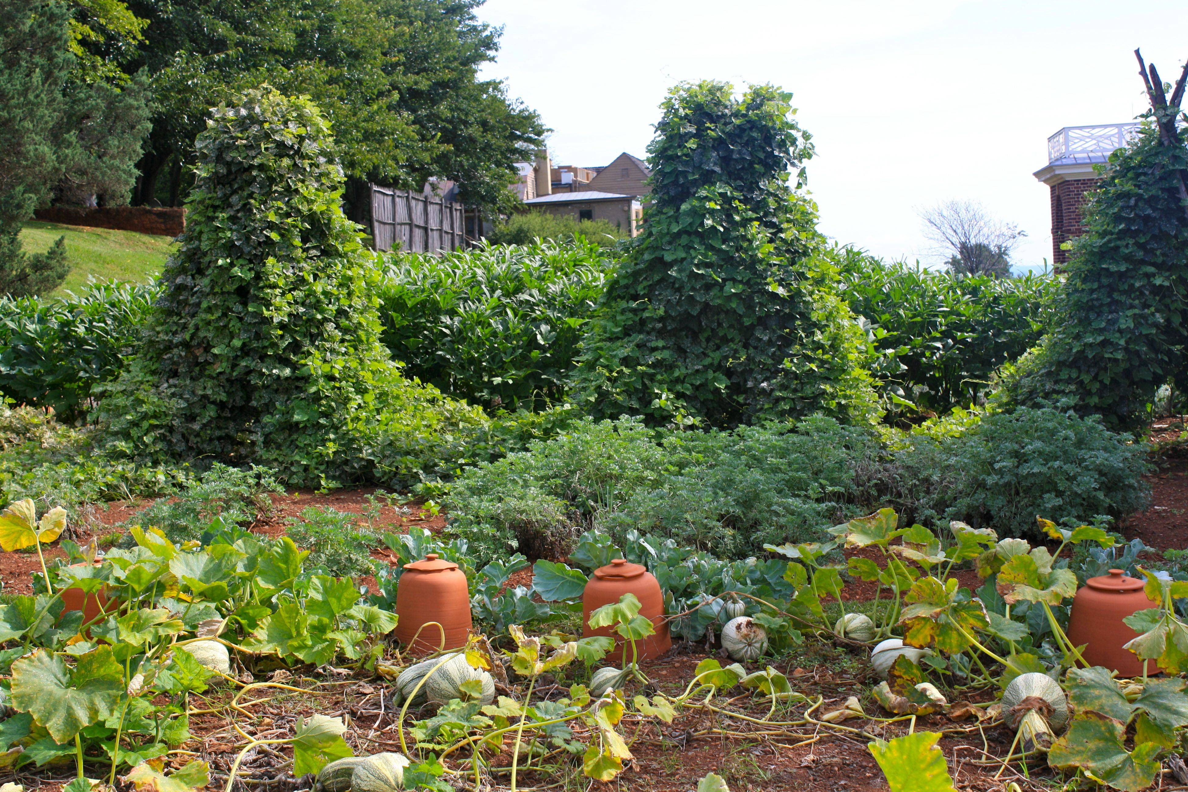 Beautiful Gardens