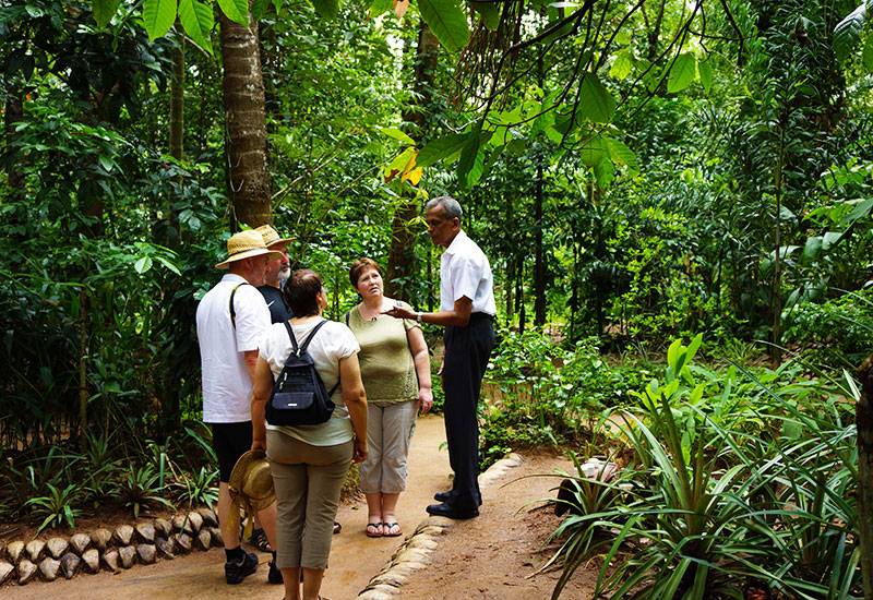 No Title Organic Gardening