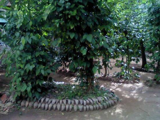 Wellawaya Attractions