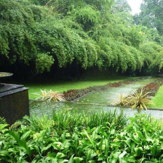 Brief Garden