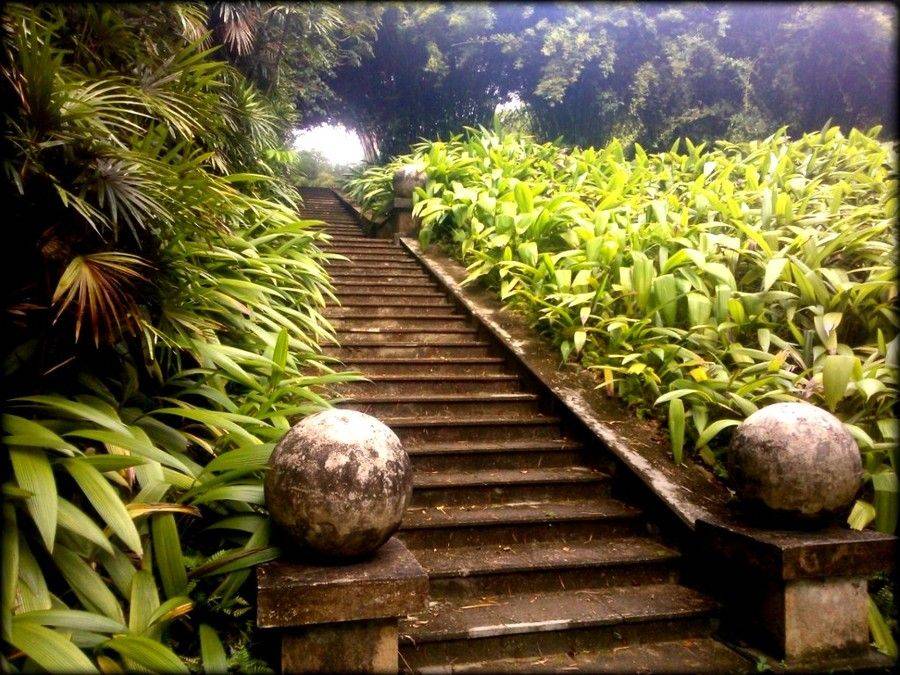 Sri Lanka Hd Wallpaper Small Tropical Gardens