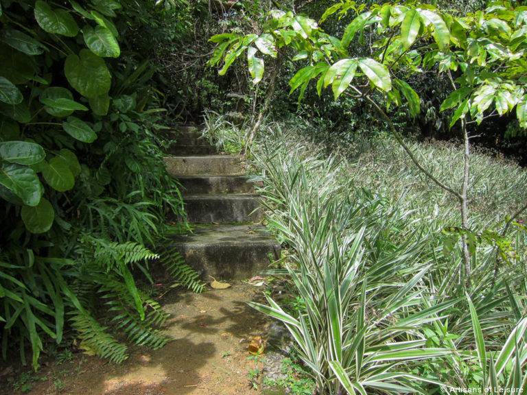 Secret Travel Diaries Garden