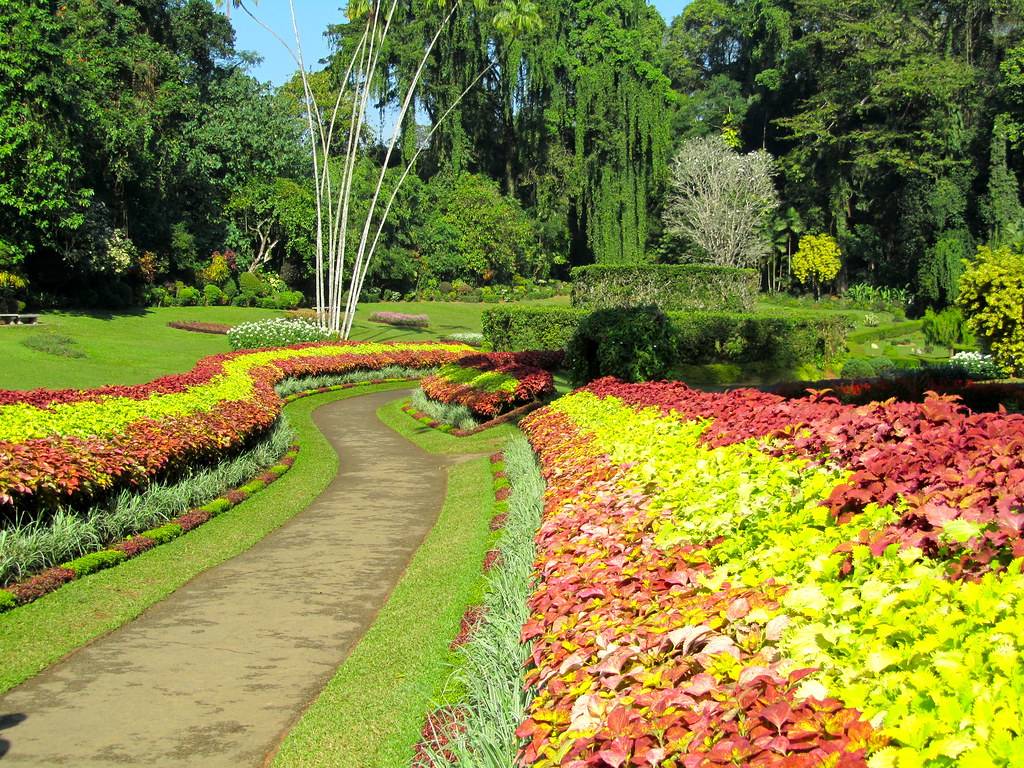 Sri Lanka Hd Wallpaper Small Tropical Gardens