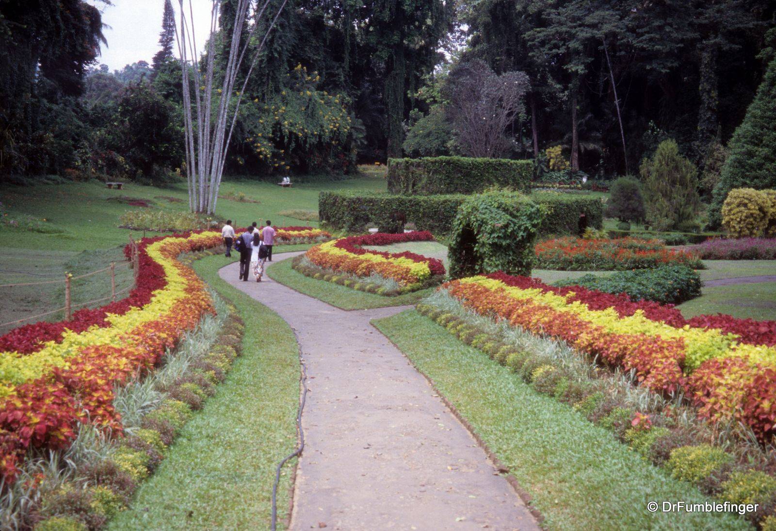 Sri Lanka Hd Wallpaper Small Tropical Gardens