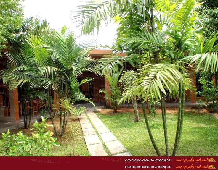House Garden Design Sri Lanka