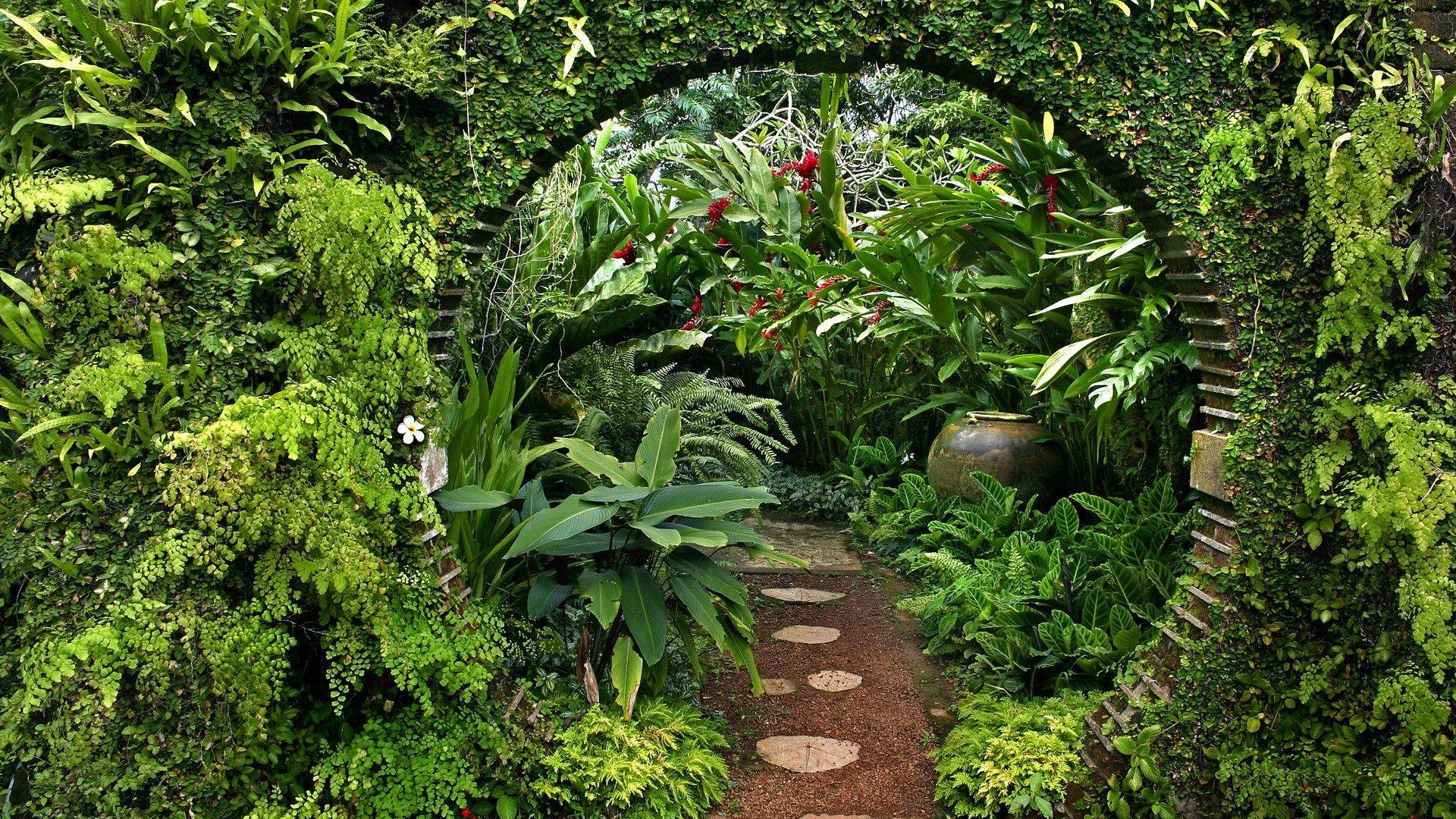 The Home Garden