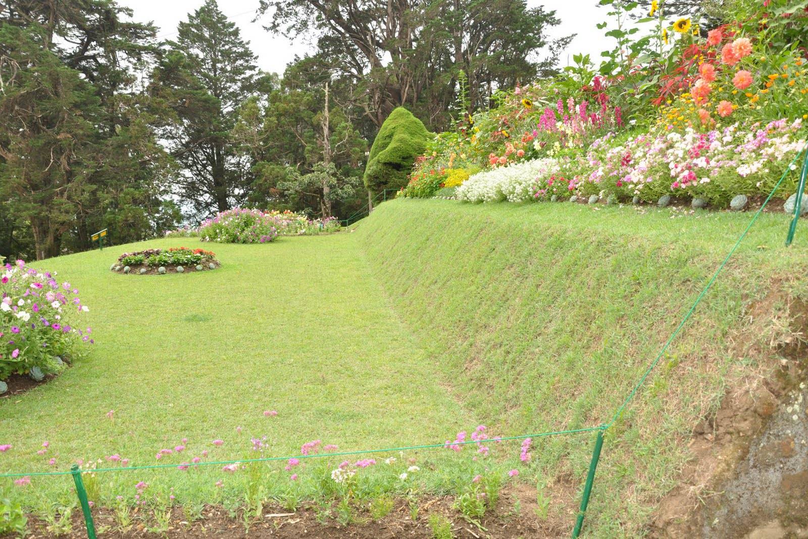 A Flower Garden