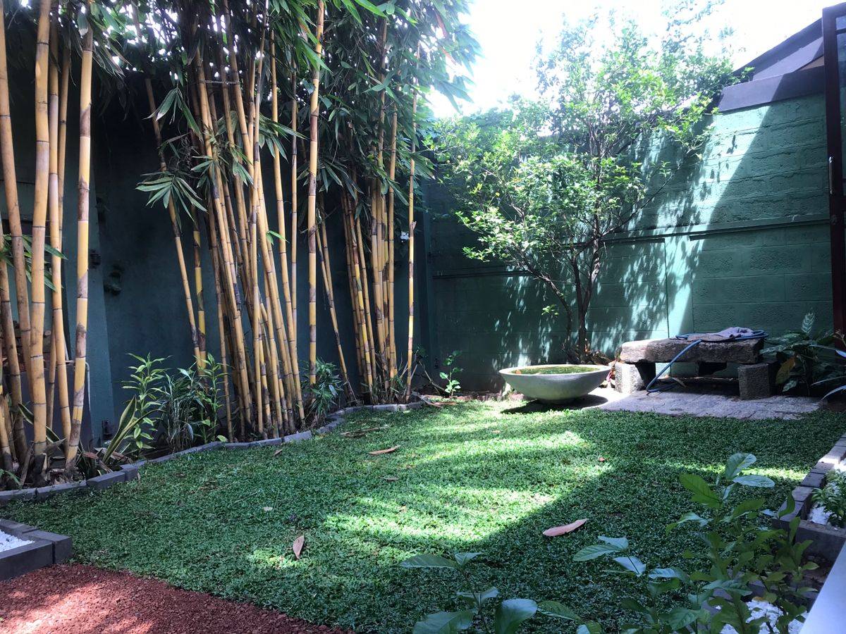 Kandy Beautiful Gardens