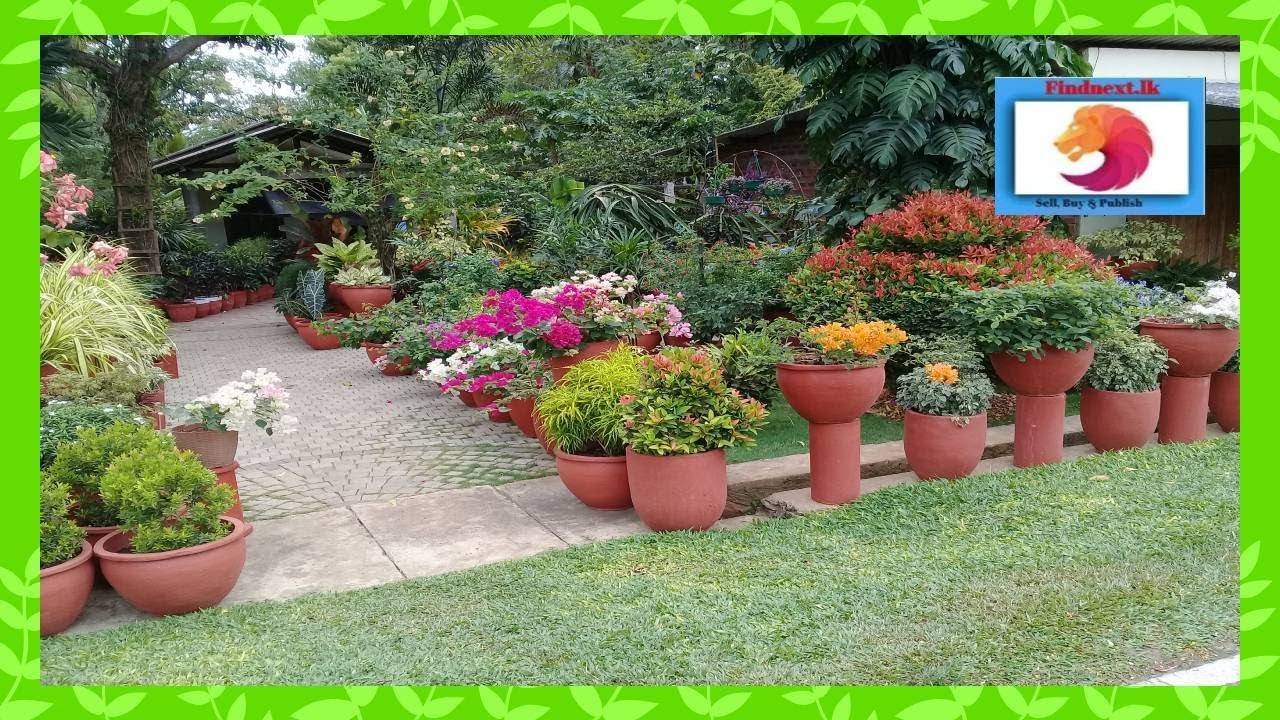 Simple Garden Ideas