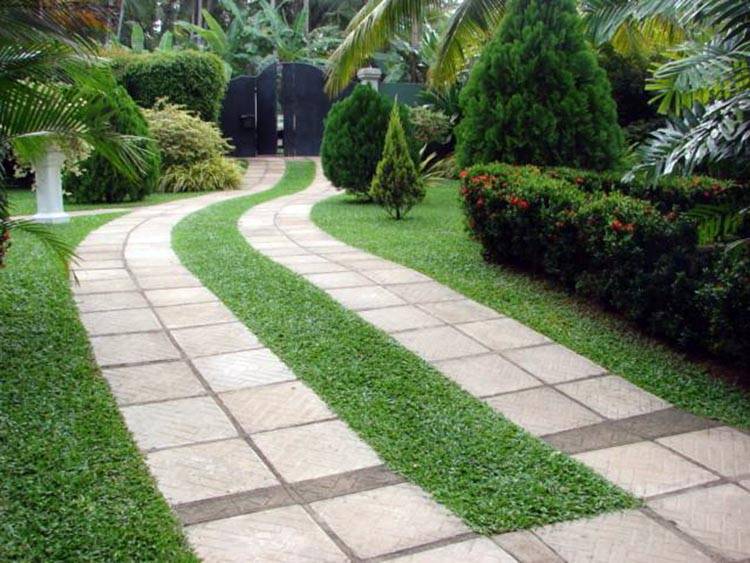 Simple Garden Ideas