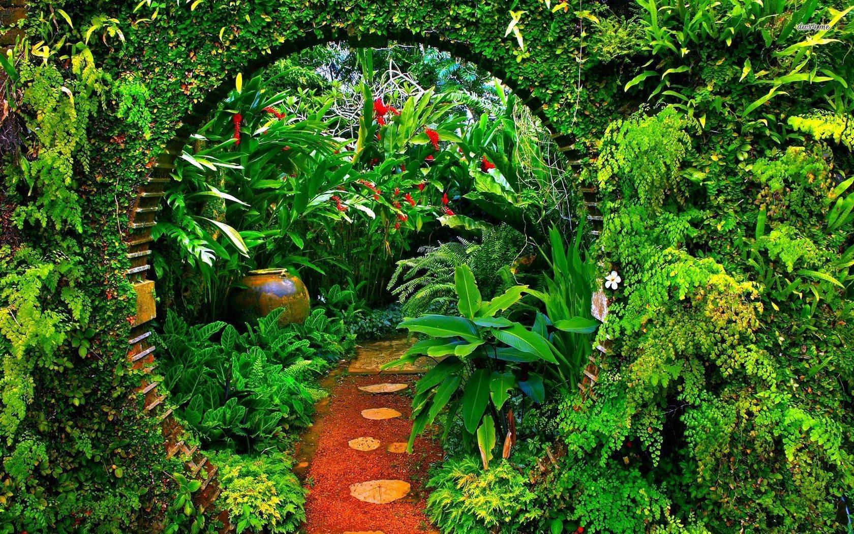 Small Garden Landscaping Ideas Sri Lanka