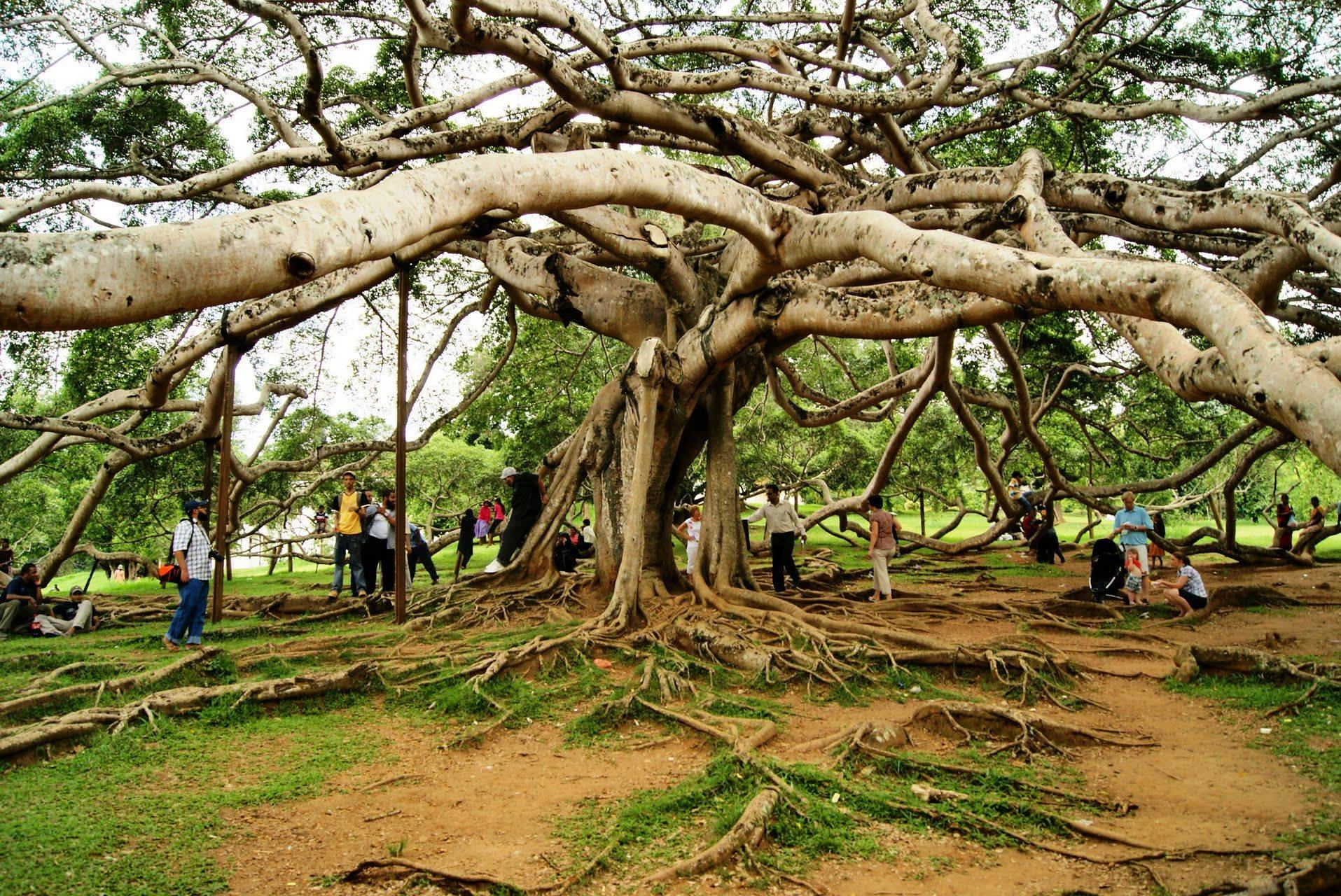 Aluvihare Rock Temple Matale Sri Lanka Rock Temple