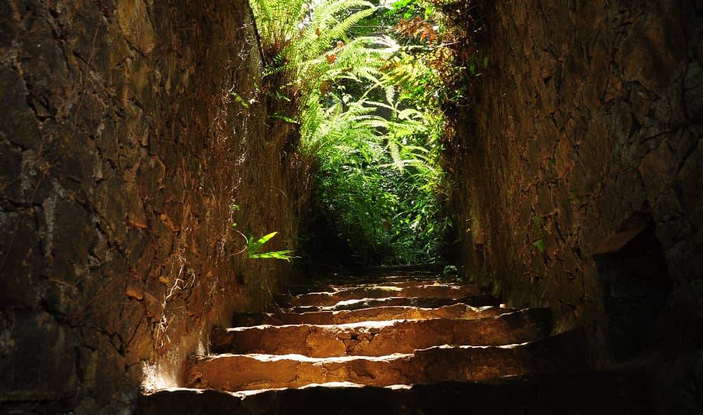 Sinharaja Sri Lanka Hotels Red Dot Tours