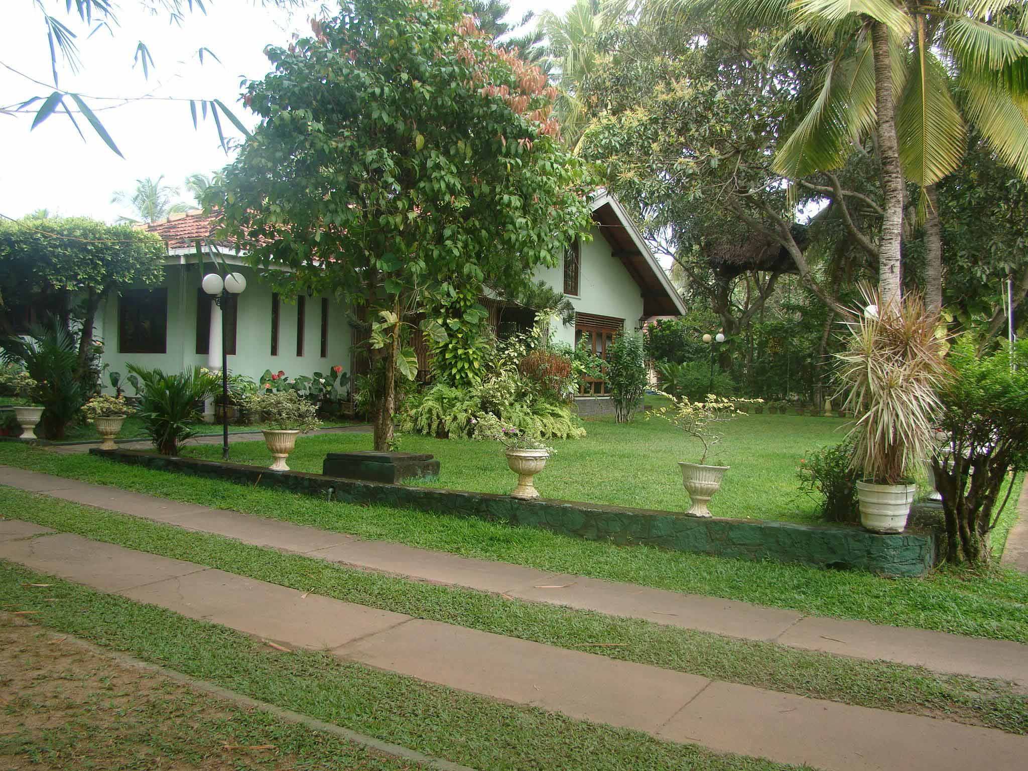 20 Sri Lankan Garden Ideas To Try This