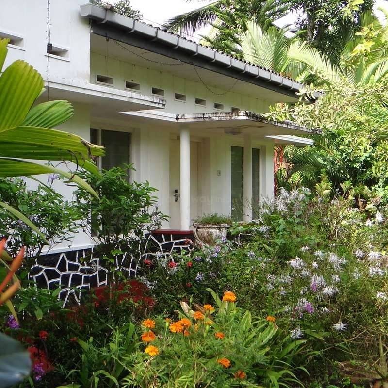 20 Sri Lankan Garden Ideas To Try This Year SharonSable