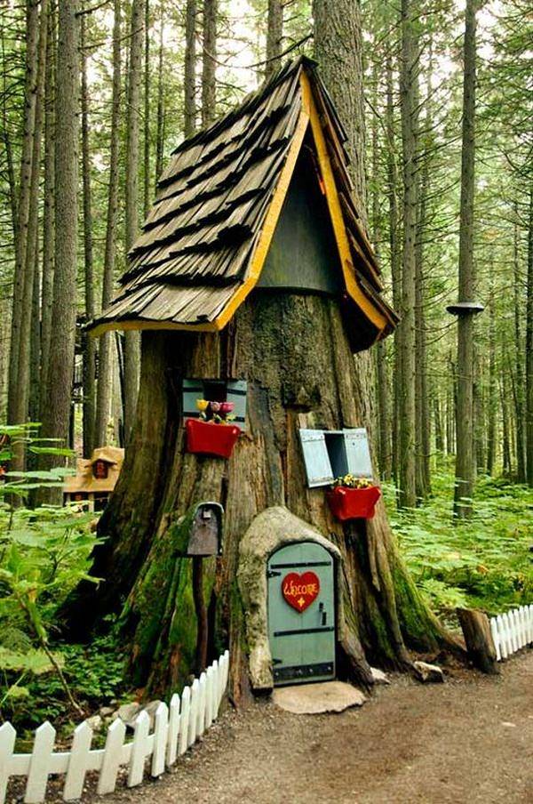 Pinterest Window