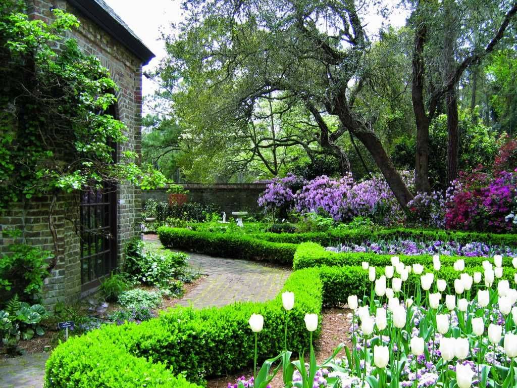 Garden Inspiration