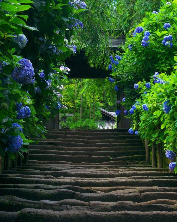 A Magical Backyard Lifestyle