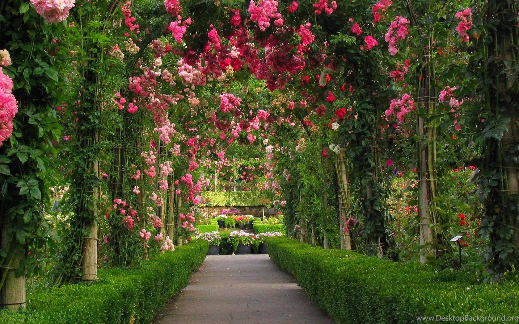 Iphone Wallpaper Paths Tjn Garden Entrance