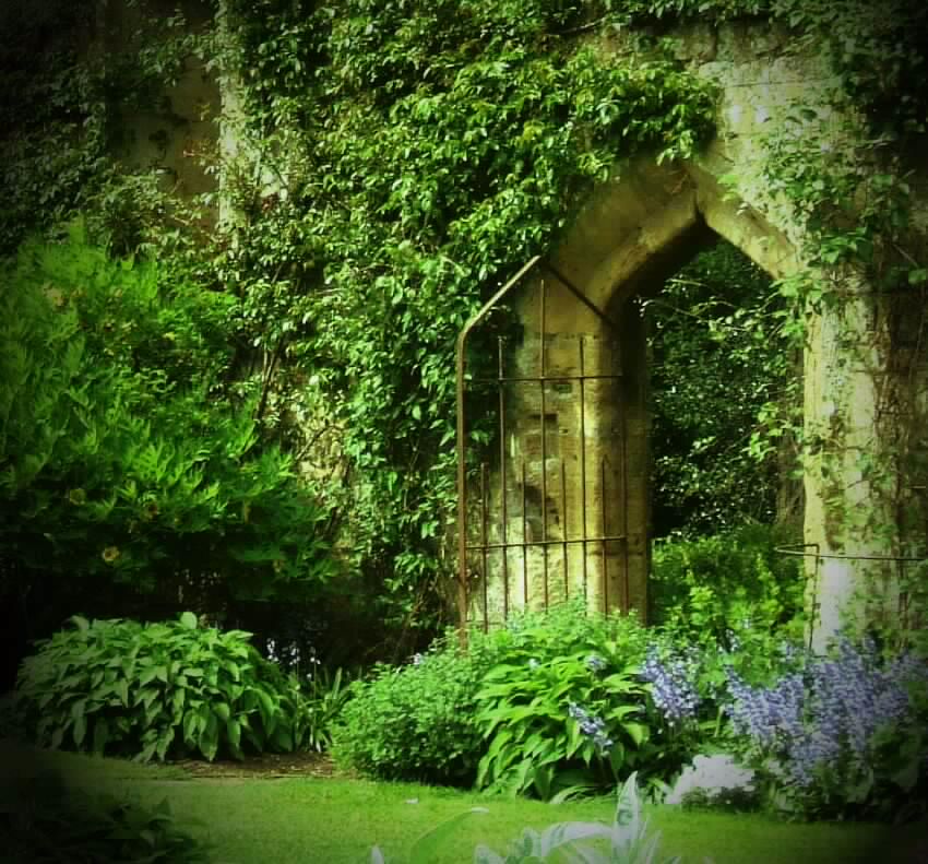The Secret Garden
