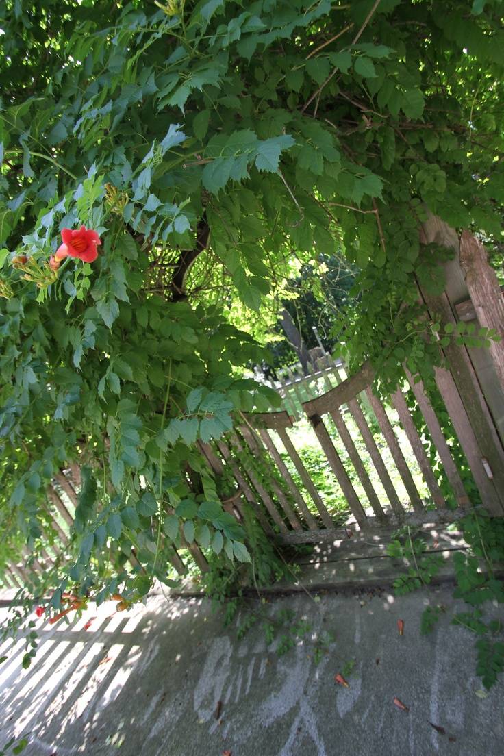 Glamorous Secret Garden Inspiration Garden Inspiration