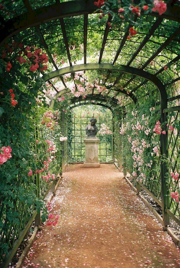 Our Romantic Garden